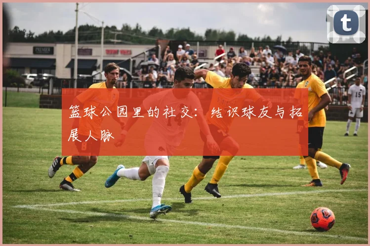 篮球公园里的社交：结识球友与拓展人脉